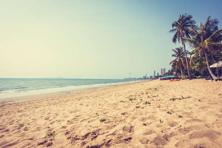 Beautiful tropical sea and beach with palm tree - Vintage Filterの写真素材