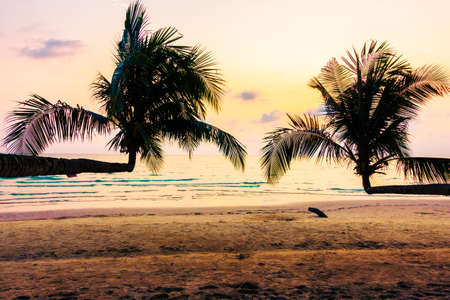 Beautiful Silhouette coconut palm tree on the beach and sea with sunset time - Vintage Filter and boost up color Processingの写真素材