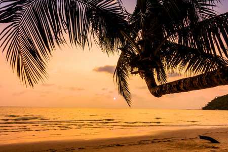 Beautiful Silhouette coconut palm tree on the beach and sea with sunset time - Vintage Filter and boost up color Processingの写真素材
