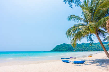 Beautiful tropical ocean or sea and sand beach on island with coconut palm tree - Boost up color Processing styleのeditorial素材