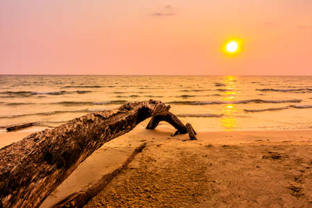 Beautiful sunset on the tropical beach and sea at twilgiht time - Vintage Filter and Boost up color Processingの写真素材