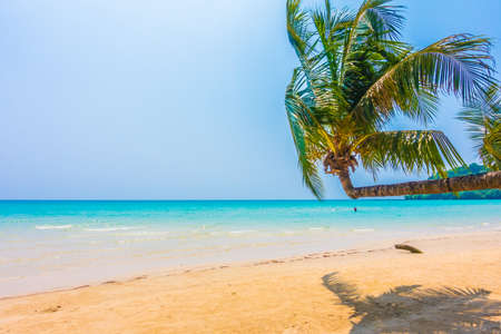 Beautiful tropical ocean or sea and sand beach on island with coconut palm tree - Boost up color...