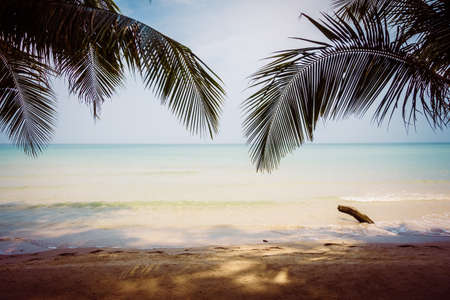 Beautiful tropical ocean or sea and sand beach on island with silhouette coconut palm tree and blue sky - Vintage Filterの写真素材
