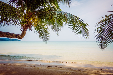 Beautiful tropical ocean or sea and sand beach on island with silhouette coconut palm tree and blue sky - Vintage Filterの写真素材