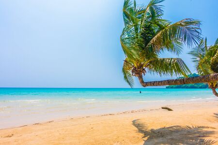 Beautiful tropical ocean or sea and sand beach on island with coconut palm tree - Boost up color Processing styleの写真素材