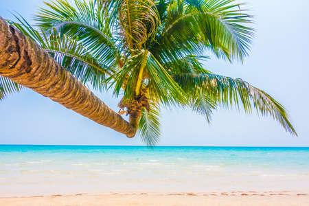 Beautiful tropical ocean or sea and sand beach on island with coconut palm tree - Boost up color Processing styleの写真素材