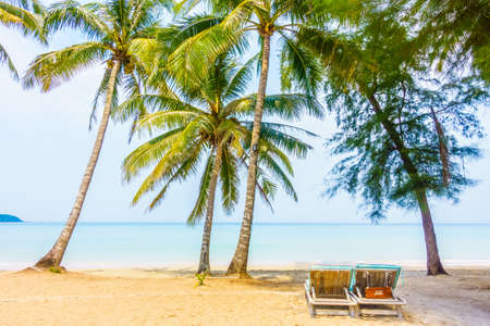 Beautiful tropical ocean or sea and sand beach on island with coconut palm tree and blue skyの写真素材