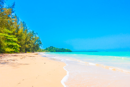 Beautiful tropical beach and sea landscape with coconut palm tree on blue sky background - Boost up color Processingの写真素材