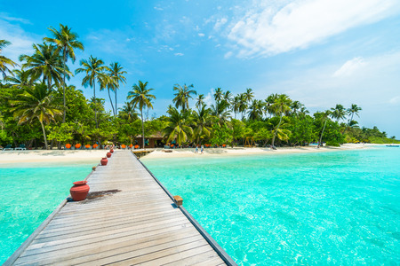 Beautiful tropical Maldives island with beach , sea , and coconut palm tree on blue sky for nature holiday vacation background concept -Boost up color Processingのeditorial素材