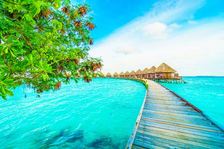 Beautiful tropical Maldives island with beach and sea for nature holiday vacation background concept -Boost up color Processingのeditorial素材