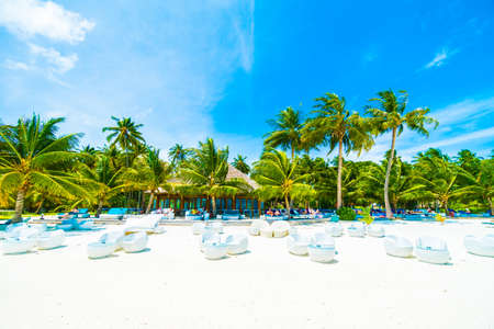 Beautiful tropical beach and sea in maldives island with coconut palm tree and blue sky backgroundの写真素材