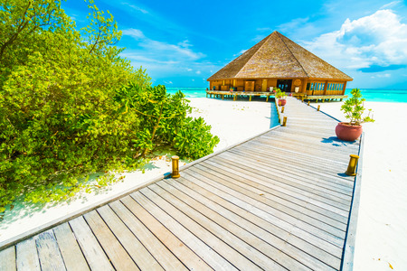 Beautiful tropical beach and sea in maldives island with coconut palm tree and blue sky backgroundの写真素材