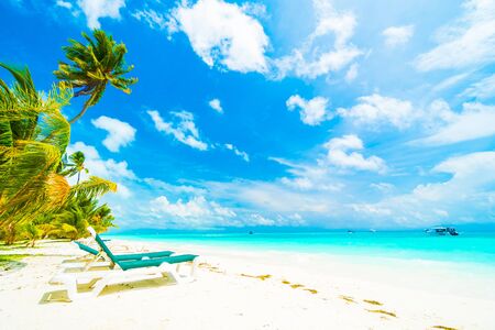 Beautiful tropical beach and sea in maldives island with coconut palm tree and blue sky background