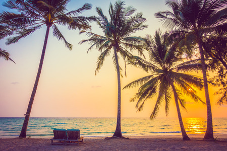 Beautiful tropical ocean or sea and sand beach on island with silhouette coconut palm tree and empty chair on Sunset times - Vintage Filterの写真素材