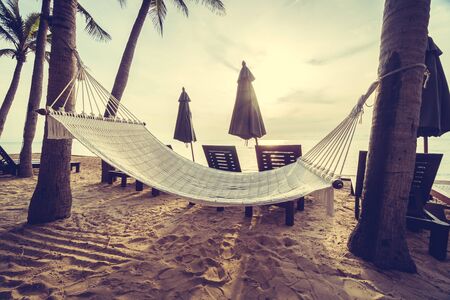 Empty hammock on the beach and sea with coconut palm tree at sunrise time - Vintage Filterの写真素材