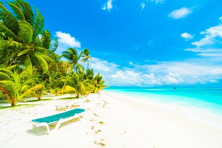 Beautiful tropical beach and sea in maldives island with coconut palm tree and blue sky background