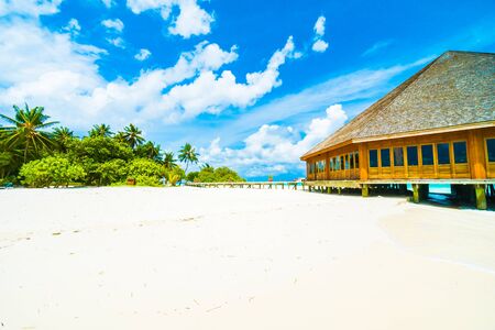 Beautiful tropical beach and sea in maldives island with coconut palm tree and blue sky backgroundのeditorial素材