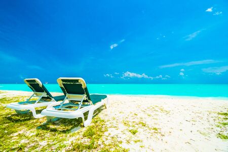 Beautiful tropical beach and sea in maldives island with coconut palm tree and blue sky backgroundの写真素材