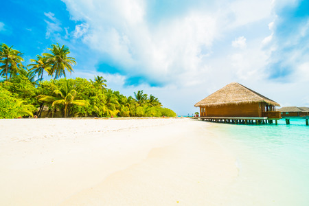 Beautiful tropical beach and sea with coconut palm tree on blue sky in Maldives island - Boost up color Processingのeditorial素材