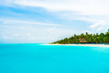 Beautiful tropical beach and sea in maldives island with coconut palm tree and blue sky backgroundのeditorial素材