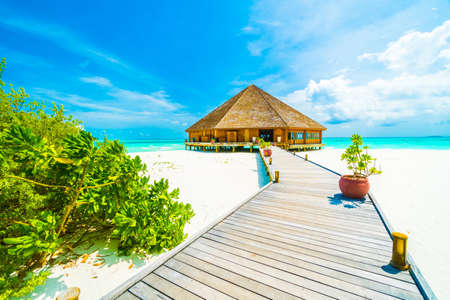 Beautiful tropical beach and sea in maldives island with coconut palm tree and blue sky backgroundのeditorial素材