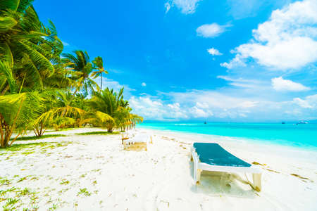 Beautiful tropical beach and sea in maldives island with coconut palm tree and blue sky backgroundの写真素材