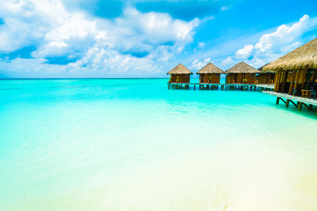 Beautiful tropical beach and sea in maldives island with coconut palm tree and blue sky backgroundのeditorial素材