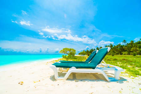 Beautiful tropical beach and sea in maldives island with coconut palm tree and blue sky backgroundの写真素材