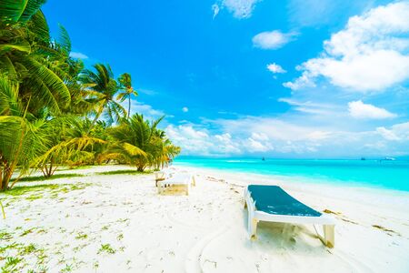 Beautiful tropical beach and sea in maldives island with coconut palm tree and blue sky backgroundの写真素材
