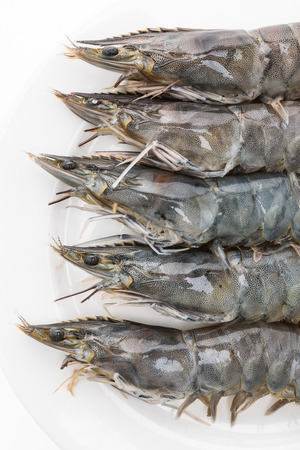 Raw fresh prawn and shrimp isolated on white backgroundの写真素材