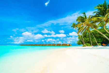 Beautiful tropical beach and sea in maldives island with coconut palm tree and blue sky backgroundのeditorial素材