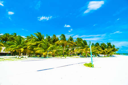Beautiful tropical beach and sea in maldives island with coconut palm tree and blue sky backgroundの写真素材