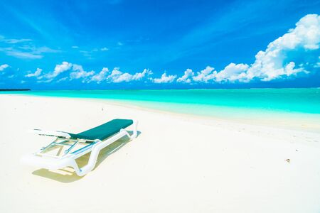 Beautiful tropical beach and sea in maldives island with coconut palm tree and blue sky backgroundの写真素材