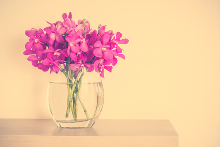 Orchid flower in vase decoration interior of room - Vintage Filterの写真素材