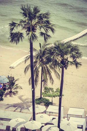 Beautiful coconut palm tree on the beach and sea - Vintage Filter