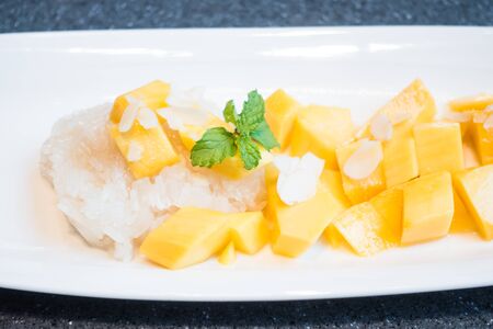 Mango with sticky rice - Thai dessert food styleの写真素材