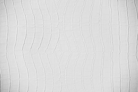 Abstract white leather textures for backgroundの写真素材