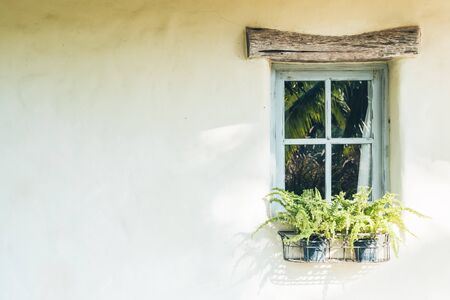 Window exterior decoration with vase plantの写真素材