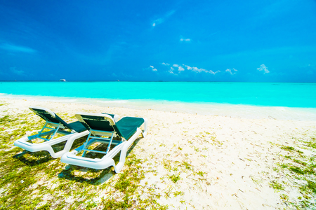 Beautiful tropical beach and sea in maldives island with coconut palm tree and blue sky background
の写真素材