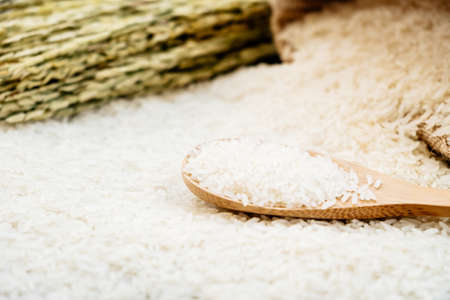 Raw Jasmine rice in wooden bowl  and spoon with grain and seedの写真素材