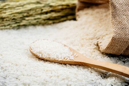Raw Jasmine rice in wooden bowl  and spoon with grain and seedの写真素材
