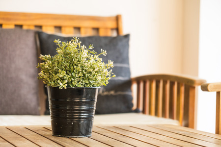 Vase plant decoration interior of roomの写真素材