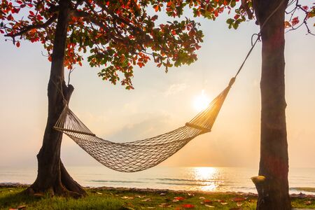 Hammock neary beach and sea on sunrise time - Vacation conceptの写真素材