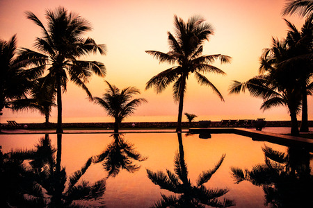 Silhouette coconut palm tree around outdoor swimming pool in hotel and resort at Sunrise timeの写真素材