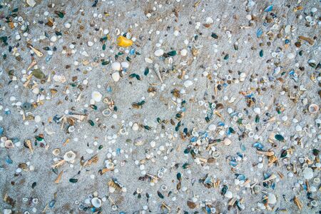 A lot of shells textures on sand for background