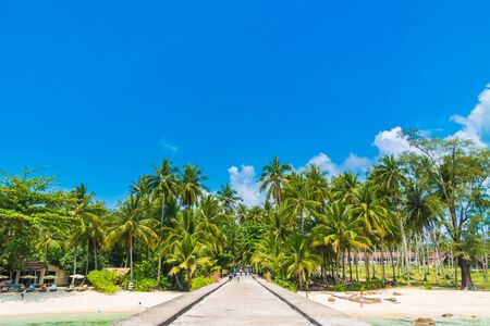Beautiful tropical beach and sea with coconut palm tree and bridge in paradise island - Holiday Vacation conceptの写真素材