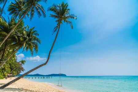 Beautiful tropical beach and sea with coconut palm tree in paradise island - Holiday Vacation conceptの写真素材