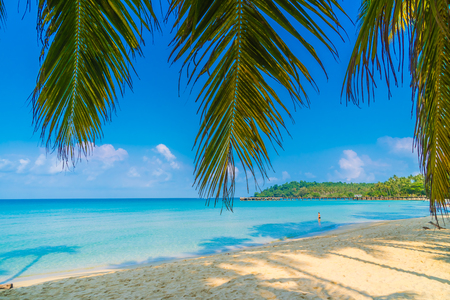Beautiful tropical beach and sea with coconut palm tree in paradise island - Holiday Vacation conceptの写真素材