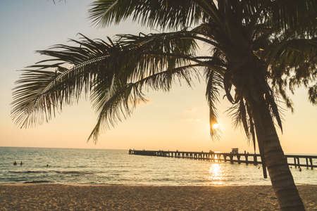 Beautiful tropical coconut palm tree  on sky with sea and beach - Vintage Filterの写真素材