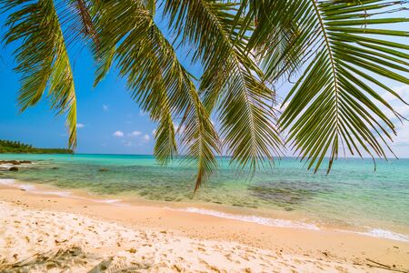 Beautiful paradise island with sea and beach landscape around coconut palm tree - Holiday vacation conceptの写真素材